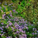 노지하우스 이미지