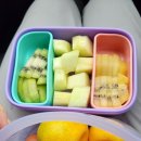 연산소머리