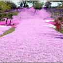 왕궁농장 이미지