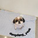 송내동3 이미지