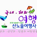 블루웨일 여행사