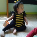 (주)디반 이미지