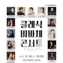 비바체 이미지