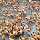 주변스포츠 이미지