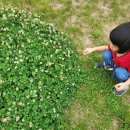 늘푸른농장(2) 이미지