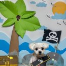 늘 예쁘개 이미지