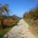 낙동강 남지개비리길(용산) 이미지