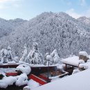 2018년 1월 18일 제3차 경북 울진 백암산1004m 산행 안내 이미지