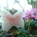 향기로운 공예 이미지