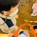 숲속성광유치원 이미지