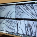 생활속의 H | 평택 두피관리 헤드스파 탈모관리 H리셀 소사벌점 두피열제로 관리