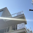 7167 | 연남동미용실 미누 여자 숏컷 레드 염색,커트 후기