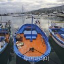 트로페아 이미지