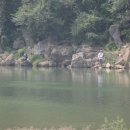 녹송공원 이미지