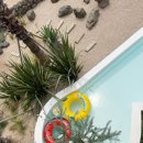 be my isle | [제주 서쪽 한경면 청수리 펜션] 비마이아일 본관1 독채숙소 수영장 후기