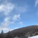 안식목장 이미지