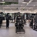 1퍼센트짐 이미지