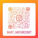 아트앤네이쳐미술학원 이미지