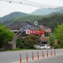 황골민박 Daum카페