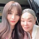 하리수 카카오 검색결과