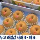 과일의민족 네이버블로그