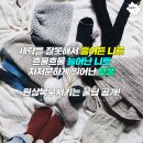 리찾사[중년카페-유익한정보]줄어든 니트 복원 시키는 꿀팁 이미지