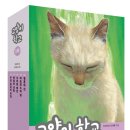 고양이마법사 이미지