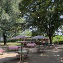 어린이학농원수영장 이미지