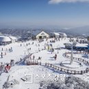 휘닉스파크 이미지