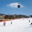 비고리조트 17 이미지