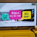 자메이카 코인 노래연습장 이미지