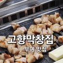 부장대로 | 부여 맛집 고향막창집 현지인 추천 막창 후기