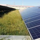 정수태양광발전소 이미지