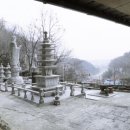 군산월명초등학교 이미지