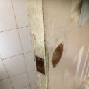 홈플러스 화장실 이미지