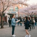 태권도/무술학원 네이버블로그