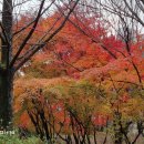 반송공원 이미지