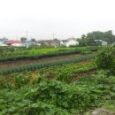 가화만사성농장 이미지