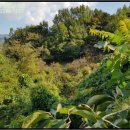 예리2리경로당 이미지