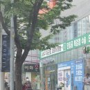 [임신 4~5주차 기록] 하단미래아이여성병원 · 강서구보건소 임산부 뱃지 · 강서구 맛집