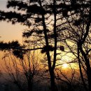 매봉산1 이미지