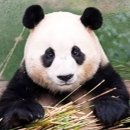 행복배웅 이미지