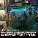 카페이층 이미지