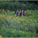 고흐와해바라기2 이미지