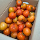 (주)게임투게더 | 11월 4째주 주중 일상 (11/24~11/28) 집 하자수리 토달볶