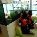 키즈쉬즈한의원 이미지