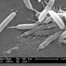 시지든든한의원 이미지