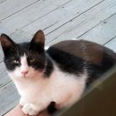 홍일갈비 이미지