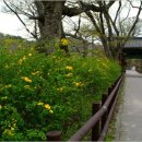 서경민박 이미지