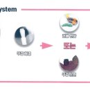 커스텀기공소 이미지